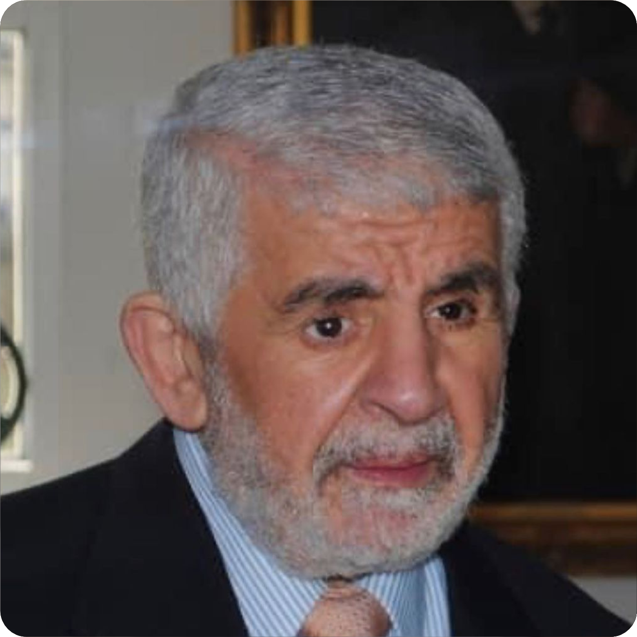 Mahmoud Ayoub
