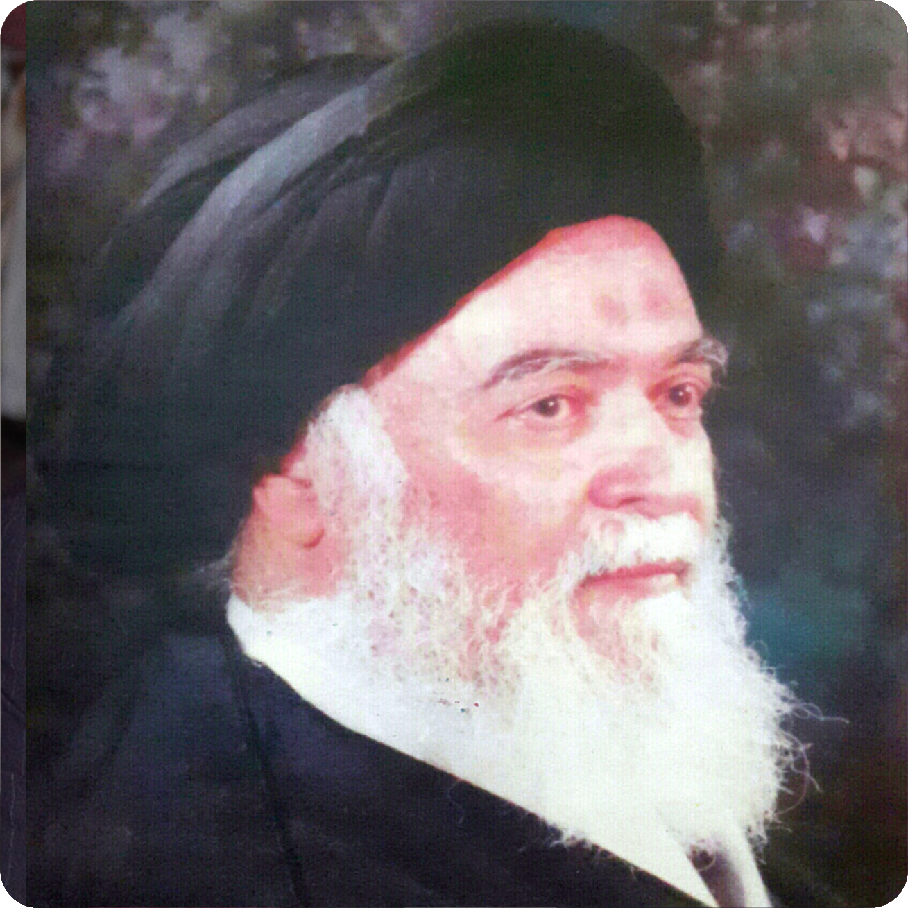 Muhammad Shirazi